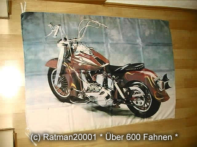Harley BGVR 088 95 x 135