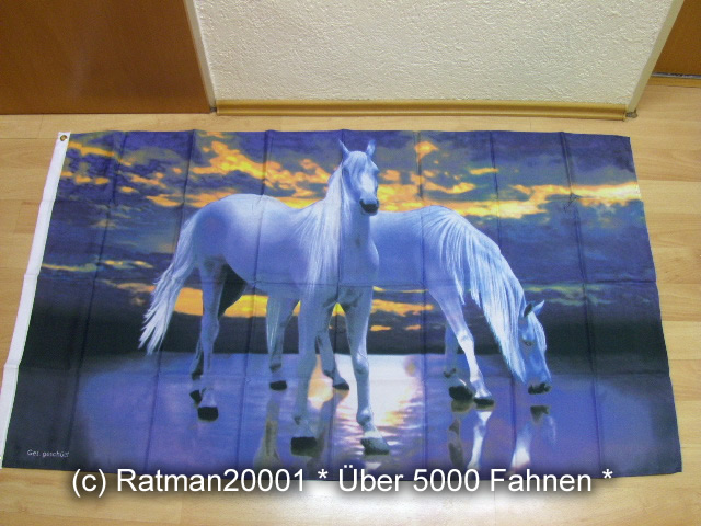 Pferde - 90 x 150 cm