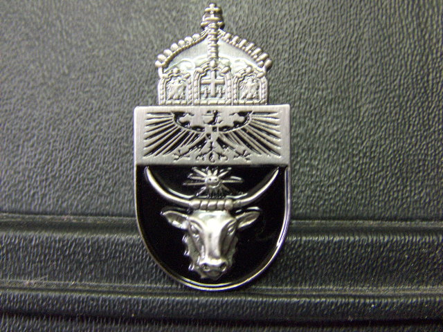 4 x 2,5 cm Pin Deutsch Kamerun Abzeichen 